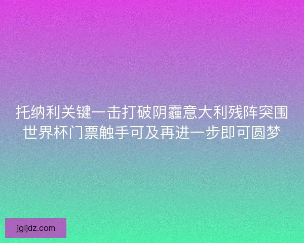 托纳利关键一击打破阴霾意大利残阵突围世界杯门票触手可及再进一步即可圆梦